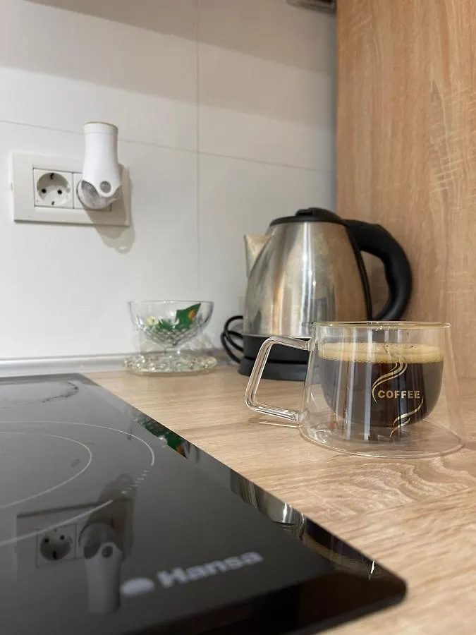 Delight Luxury Apartment Palace Bucharest